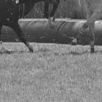 競馬予想にはどんな種類があるの？